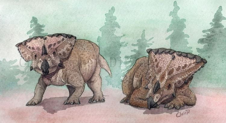 Vagaceratops Prehistoric Beast of the Week Vagaceratops Prehistoric Animal of