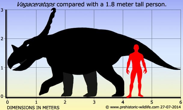 Vagaceratops Vagaceratops