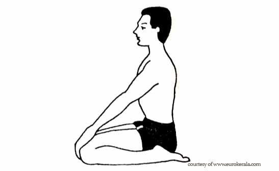 Vajrasana (yoga) Yoga Pose Japanese Sitting Pose Vajrasana MiX of LookTamil