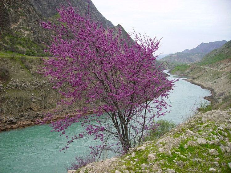 Vakhsh River httpstajikistanorexcacomimgriverslakesvak