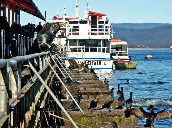 Valdivia Valdivia 2017 Best of Valdivia Chile Tourism TripAdvisor