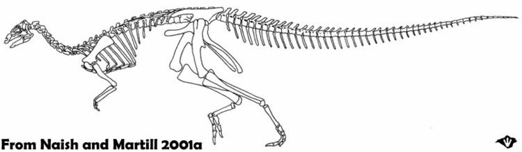 Valdosaurus DinoWight Valdosaurus an Isle of Wight dryosaurid