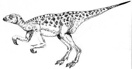 Valdosaurus New Dinosaur Fossil Found on the Isle of Wight