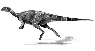 Valdosaurus wwwnhmacukresourcesnatureonlinelifedinosau