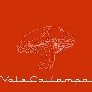 Vale Callampa httpsuploadwikimediaorgwikipediaen226Caf