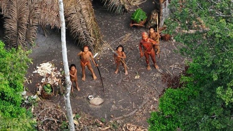 Vale do Javari Brazil Confirms Existence of One of Earths Last Uncontacted Tribes