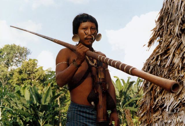 Vale do Javari native man is serious, has black hair, earlobes, right hand holding a spear wearing a blue short with lines.