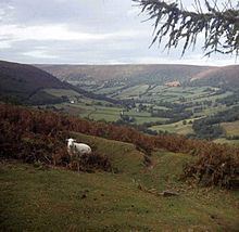 Vale of Ewyas httpsuploadwikimediaorgwikipediacommonsthu