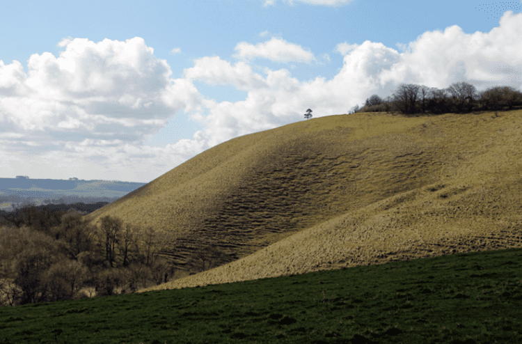 Vale of Pewsey The Vale of Pewsey A dark wooded inland promontory The Bath Magazine