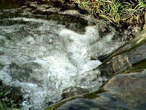 Valea Lupului River (Racovița) httpsuploadwikimediaorgwikipediacommonsthu
