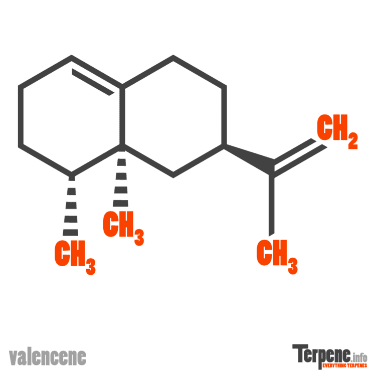 Valencene Cannabis Terpene Valencene Effects Research More