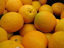 Valencia orange httpsuploadwikimediaorgwikipediacommonsthu