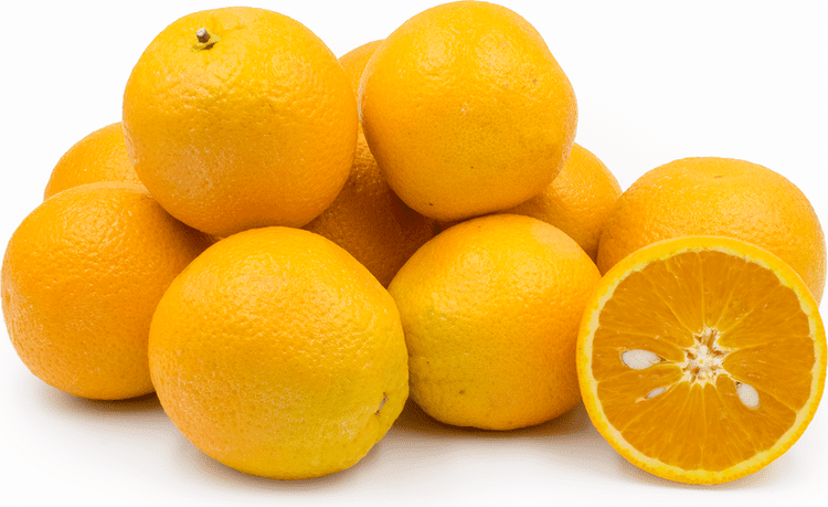 Valencia orange Valencia Oranges Information Recipes and Facts