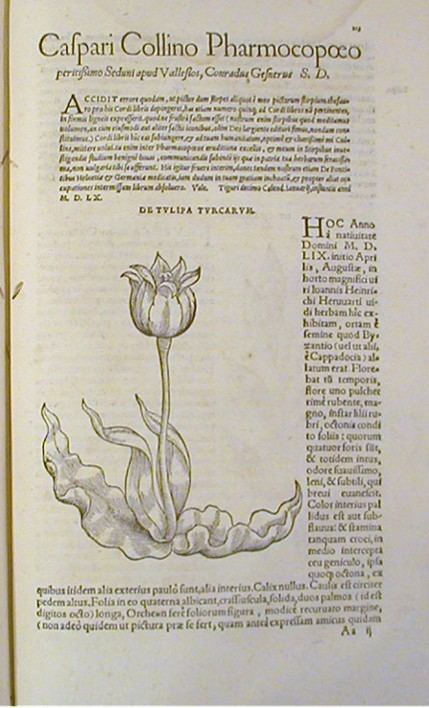 Valerius Cordus Annotationes in P Dioscorides De Medica Materia Libros V