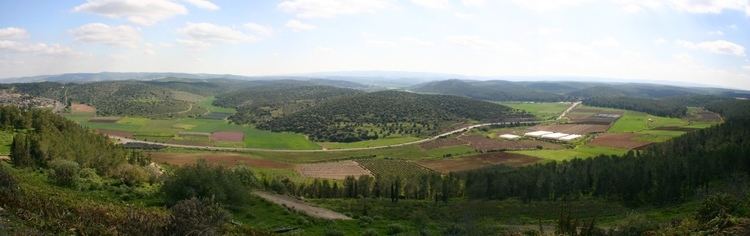 Valley of Elah Lion Tracks Photo QnA David and Goliath Valley of Elah and Tel