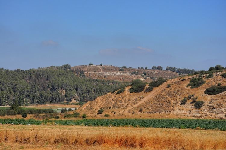 Valley of Elah Site of the Month 2011