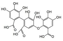 Valoneic acid httpsuploadwikimediaorgwikipediacommonsthu