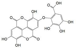 Valoneic acid dilactone httpsuploadwikimediaorgwikipediacommonsthu