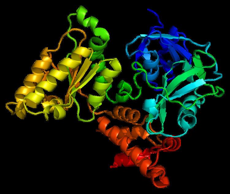 Valosin-containing protein