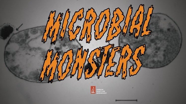 Vampirococcus BioFilms Microbial Monsters Algae Vampirococcus and Halloween