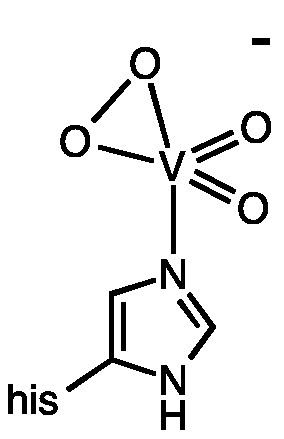 Vanadium bromoperoxidase