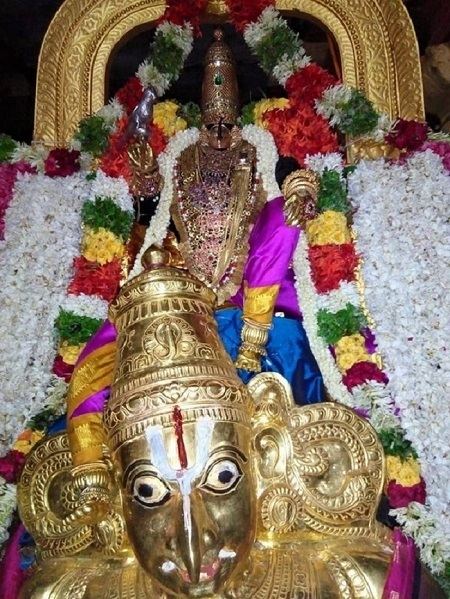 Vanamamalai Perumal temple Vanamamalai Sri Deivanayaga Perumal Temple Chithirai Brahmotsavam