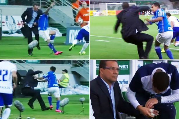 Vanderlei Luxemburgo Cruzeiro manager Vanderlei Luxemburgo knocked over on touchline