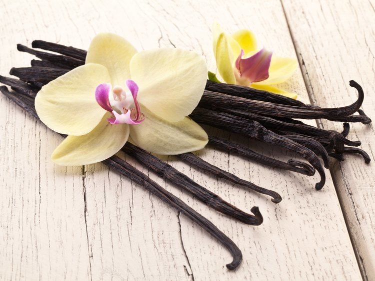 Vanilla 5 New Uses for Vanilla Extract 15 Reader39s Digest