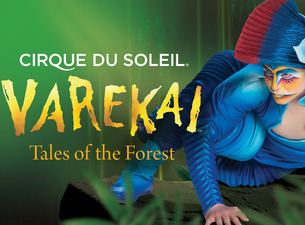 Varekai Cirque Du Soleil Varekai Tickets Concerts and Tour Dates
