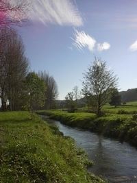 Varenne (river) httpsuploadwikimediaorgwikipediacommons88