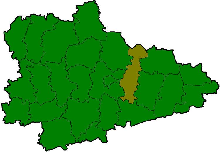 Vargashinsky District