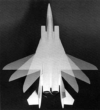 Variable-sweep wing VariableGeometry Wings Bioaerial Locomotion 2011