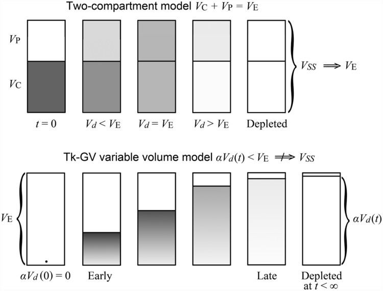 Variable volume pharmacokinetic models