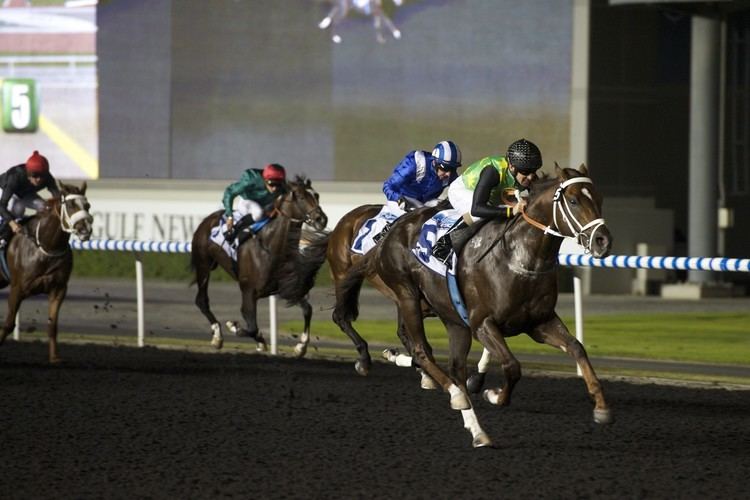 Variety Club (horse) Variety Club Cruises to Easy Group 3 Victory in the Firebreak Stakes