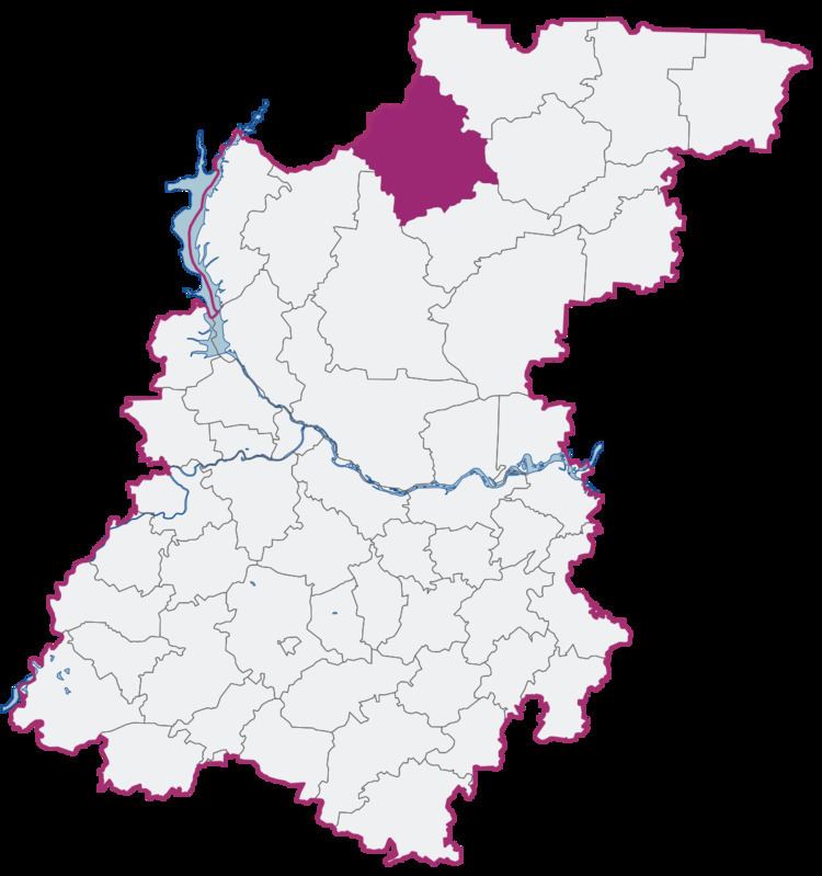 Varnavinsky District