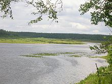 Varzuga River httpsuploadwikimediaorgwikipediacommonsthu