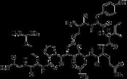 Vasotocin httpsuploadwikimediaorgwikipediacommonsthu