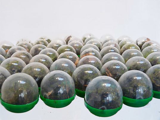 Vaughn Bell Environmental Art at Swarm Gallery San Francisco Inhabitat
