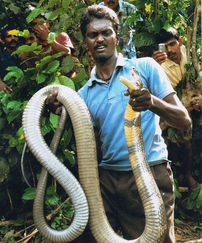 Vava Suresh Prince Charles to meet master snake catcher Vava Suresh in