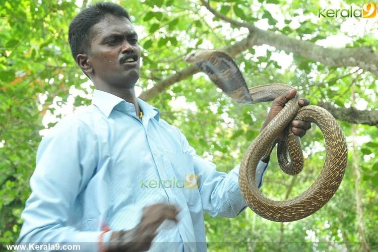 Vava Suresh Vava suresh snake show photos 03213 Kerala9com