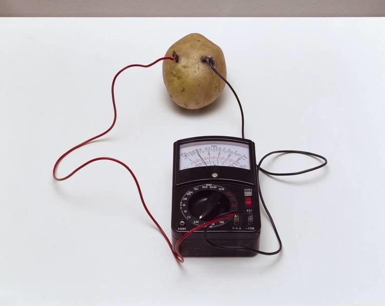 Víctor Grippo Energy of a Potato or Untitled or Energy Victor Grippo 1972 Tate