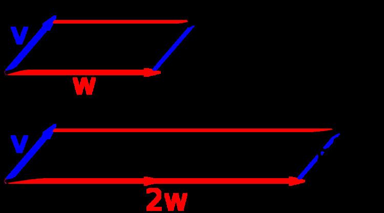 Why Vector Space Is Called Linear Space