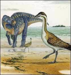 Vegavis Relatives of Living Ducks and Chickens Existed Alongside Dinosaurs