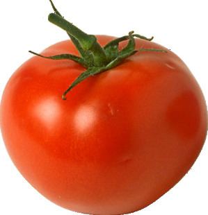 Vegetable Is a tomato a fruit or a vegetable ScienceBobcom