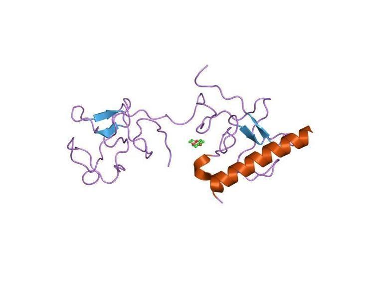 VEK-30 protein domain