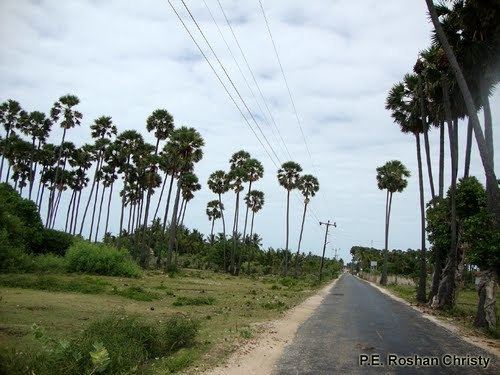 Velanai Guide Velanai West in Sri Lanka Northern Province Tripmondo