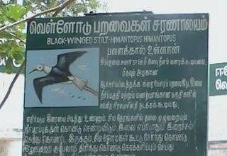 Vellode Birds Sanctuary Tamilnadu Tourism Vellode Birds Sanctuary