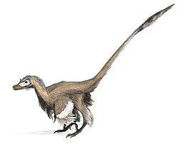 Velociraptorinae Velociraptorinae Wikipedie