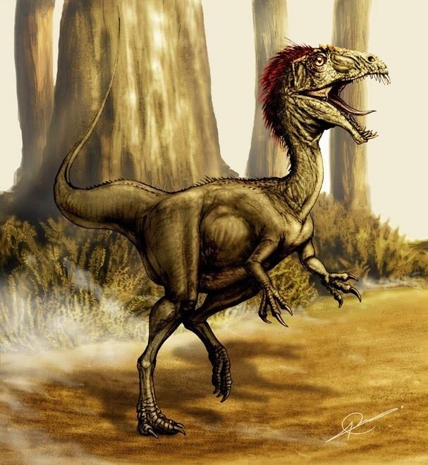 Velocisaurus Velocisaurus Pictures amp Facts The Dinosaur Database