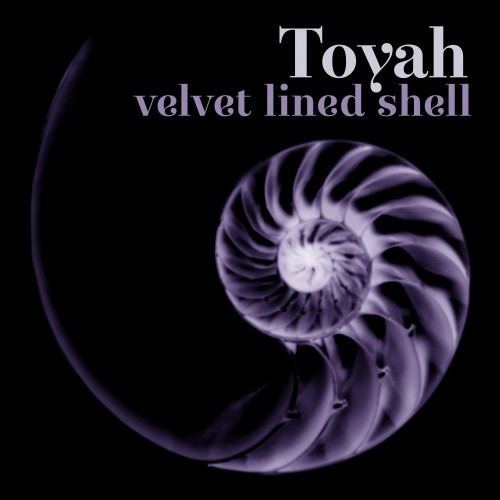 Velvet Lined Shell toyahwillcoxcomwpcontentuploads200305image